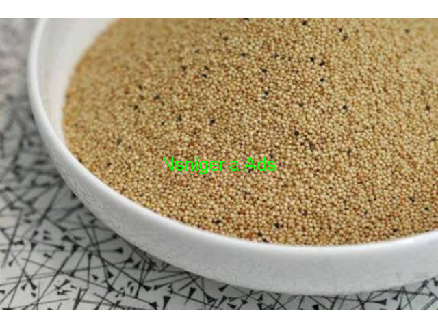 BUY Acha Grain – Hungry rice or Fonio 1KG PACK