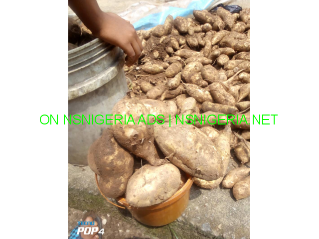 BUY Potatoes and More in UYO