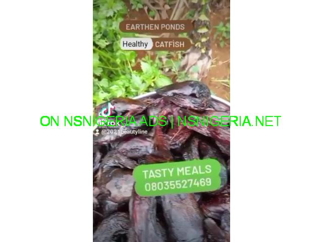 Natural Catfish for Sale