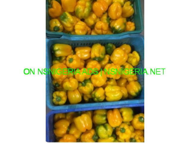 Buy fresh bell peppers and more