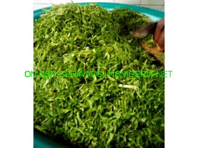 Buy fresh/DRIED Afang (Okazi), Editan, Atama LEAVES etc