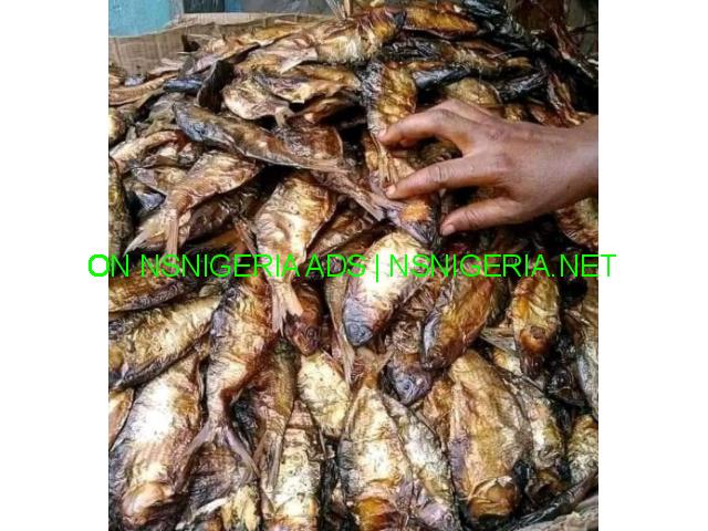 Order your Bonga - Ibad - fish here