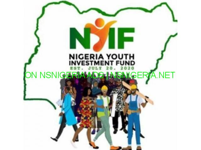 Apply for the Nigeria youth investment fund  (NYIF) Program- Features Article