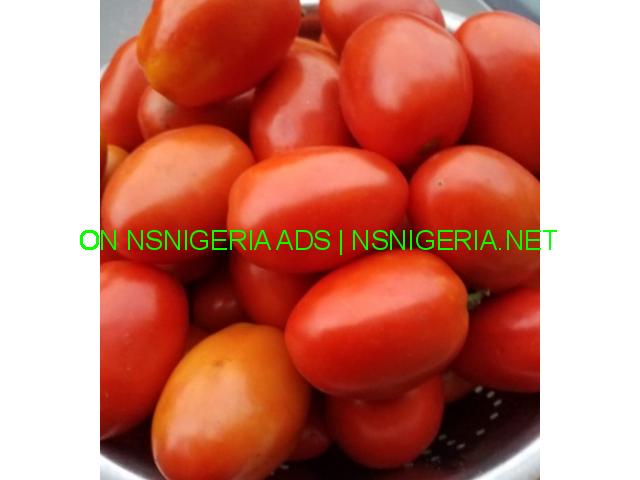 Buy your 100% natural tomatoes here